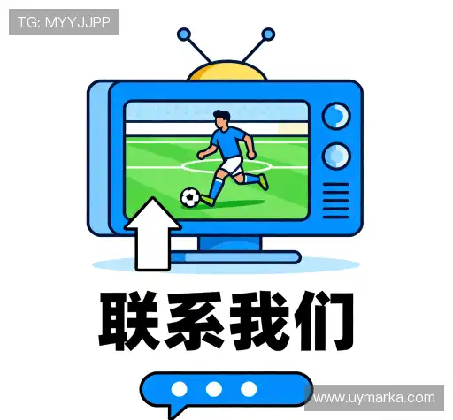咨询服务